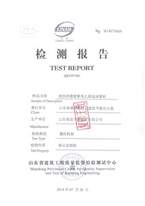聚苯板检测报告